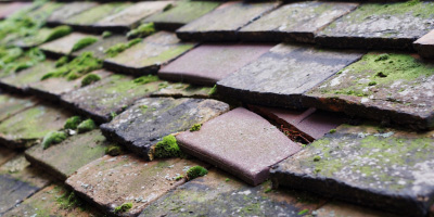 Icklesham roof repair costs